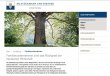 Textarbeit Macedo – Stückmann Stiftung Textarbeit Macedo – Stückmann Stiftung
