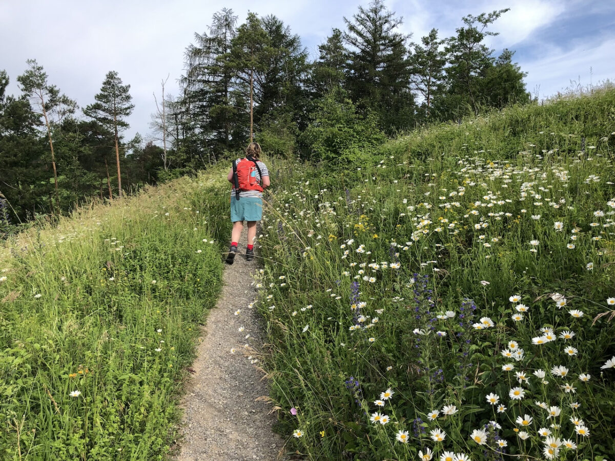 Wandern auf ostwestfälisch - Dagmar Macêdo